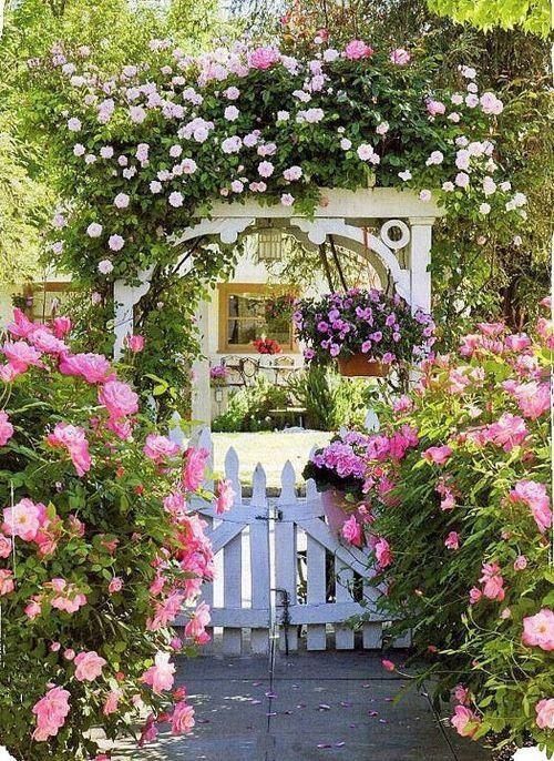 Floral Garden