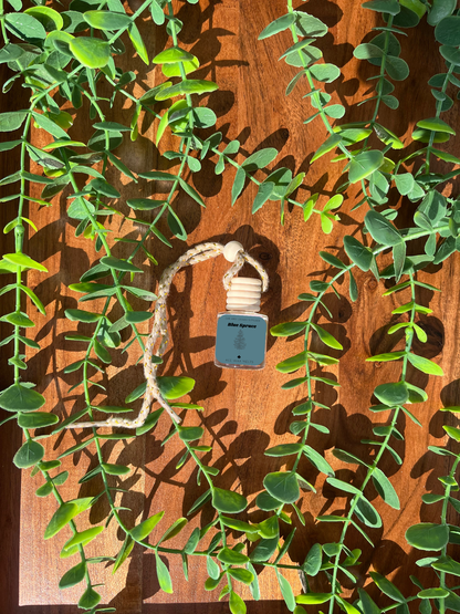 Blue Spruce - Car & Locker Diffuser