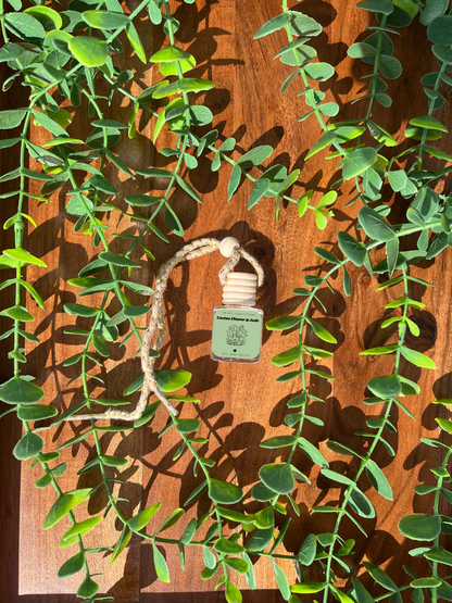 Cactus Flower & Jade - Car & Locker Diffuser