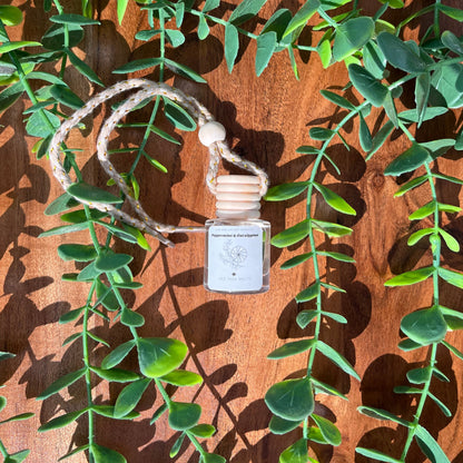 Peppermint & Eucalyptus -  Car and Locker Diffuser