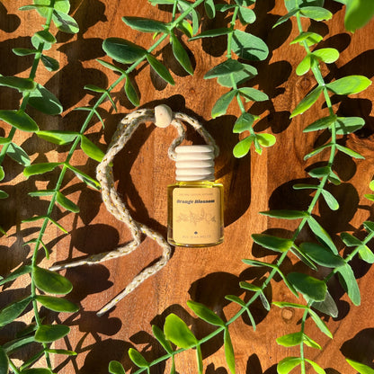 Orange Blossom - Car and Locker Diffuser