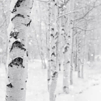 Woodland Snow - 4oz Candle